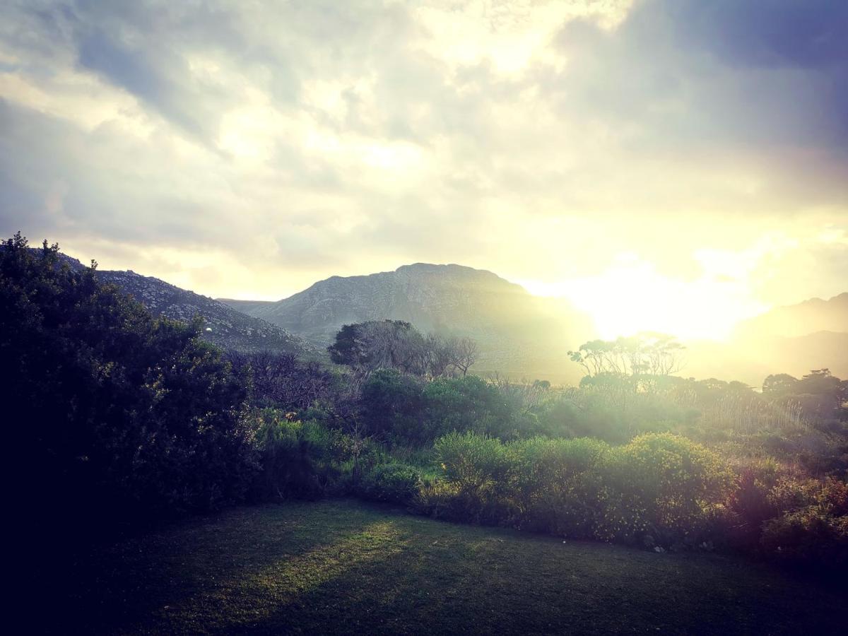 The Crowded House Pringle Bay Exterior foto