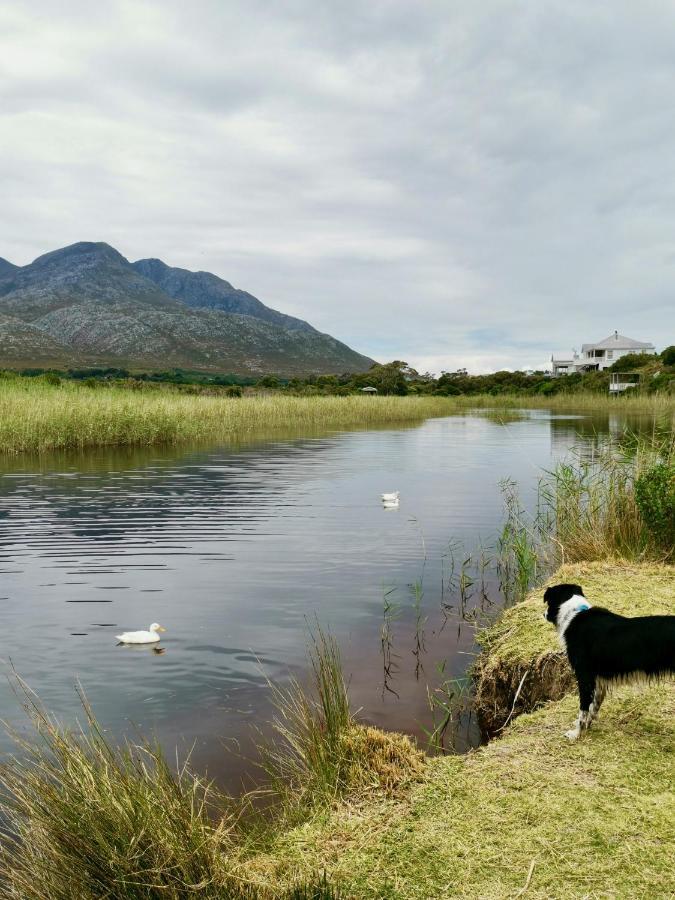 The Crowded House Pringle Bay Exterior foto